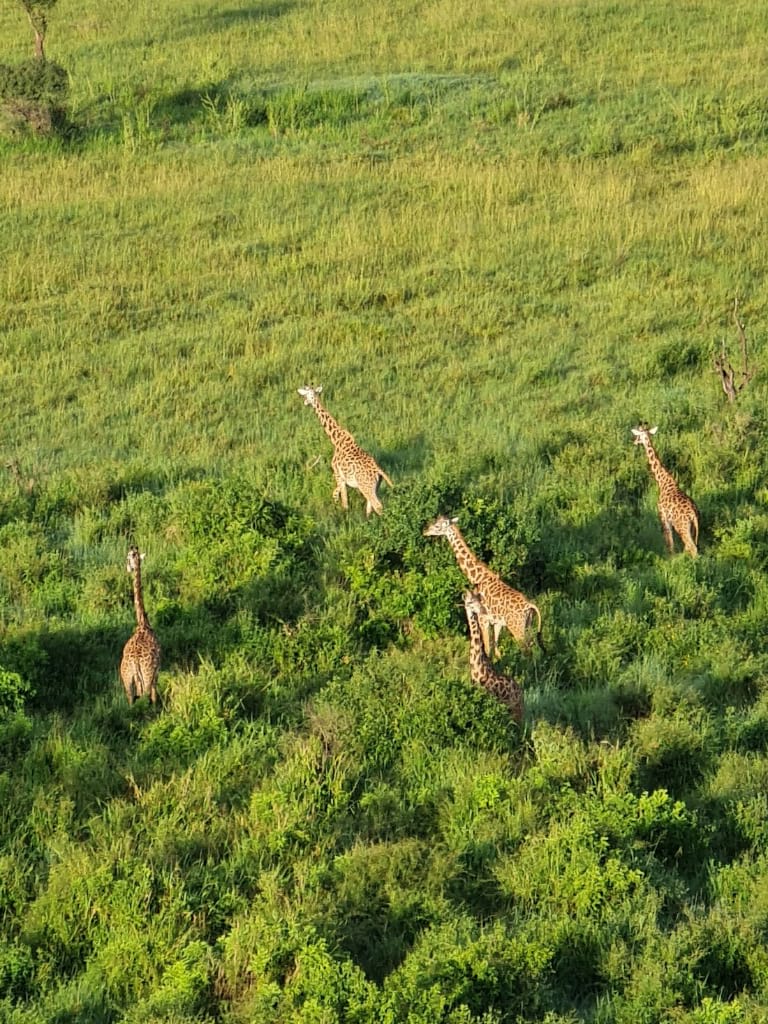 Singita Lebombo Lodge